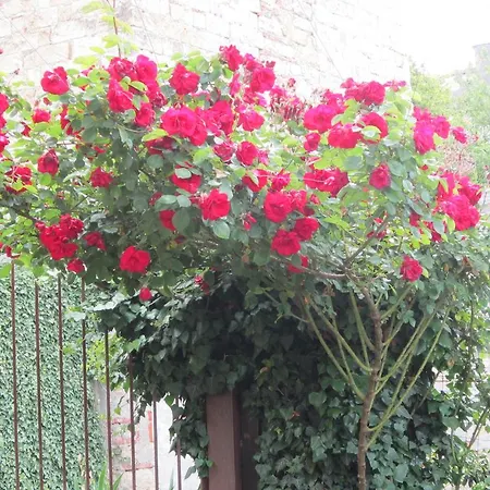 Ca' Norino Camagna Monferrato